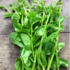 পুঁঁই-শাক(Pui Shak,Malabar Spinach) - Image 2