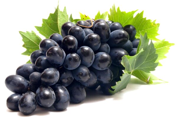 Kalo Angur (Black Grapes)