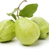 Piyara (Guava) - Image 2