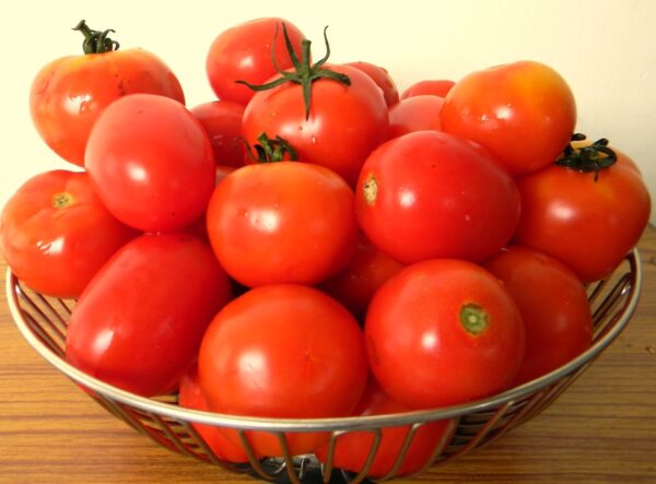 টমেটো Tomato (Desi)