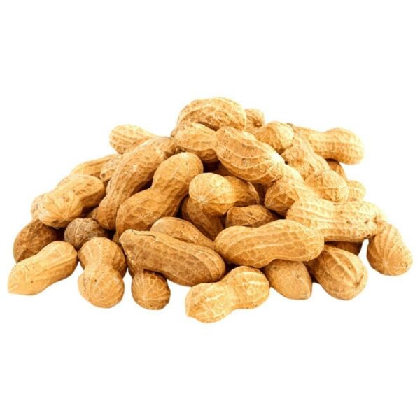 কাচা বাদাম Kacha Badam (Ground Nut)