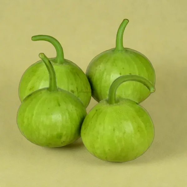 গোল লাউ Lau (Bottle Gourd)