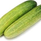 শসা (Sasha,Cucumber)