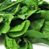 পুঁঁই-শাক(Pui Shak,Malabar Spinach)