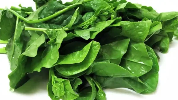 পুঁঁই-শাক(Pui Shak,Malabar Spinach)