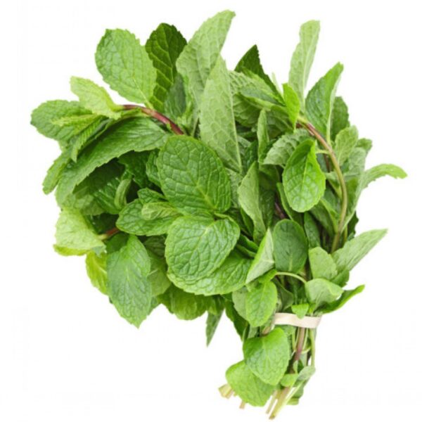 পুদিনা পাতা Pudina Pata (Mint Leaves)