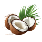 Narkel (Coconut)