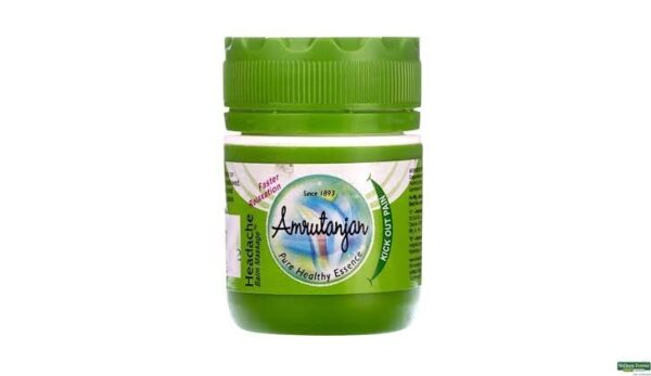 Amritanjan Pain Relief Balm 8g